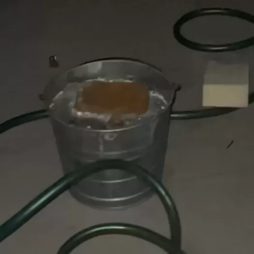 The Quest for the "Bucket Mickey": Uncovering Spaceship Earth’s Rarest Secret