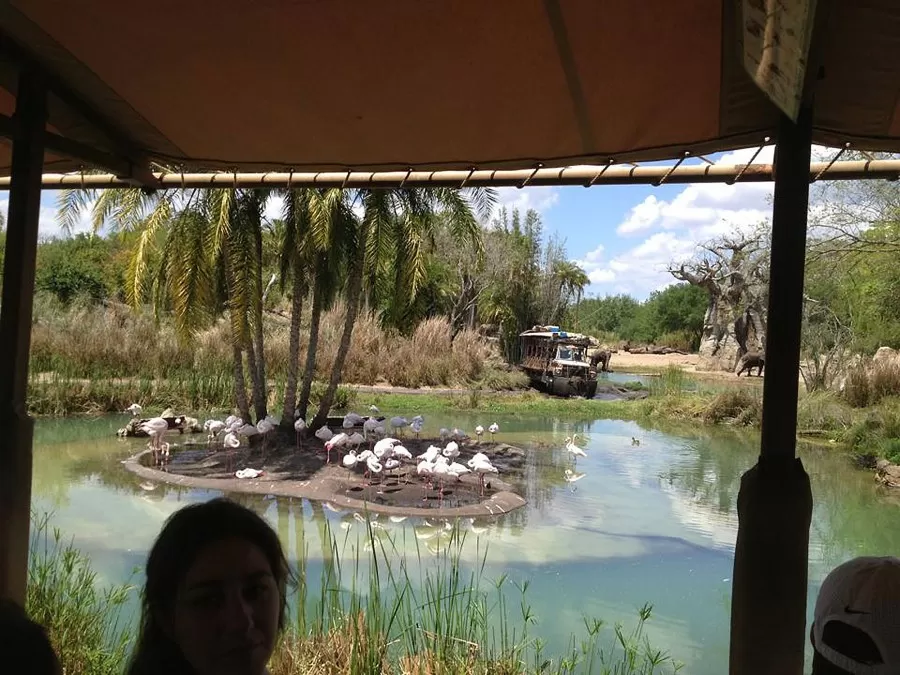 Animal Kindgom Kilimanjaro Safari Ride Hidden Mickey
