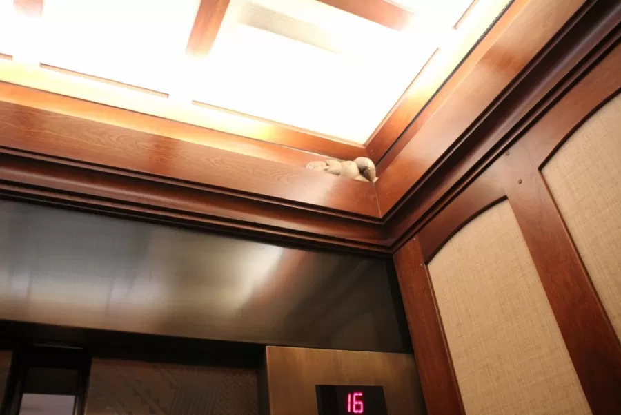 Aulani Elevator Hidden Menehune