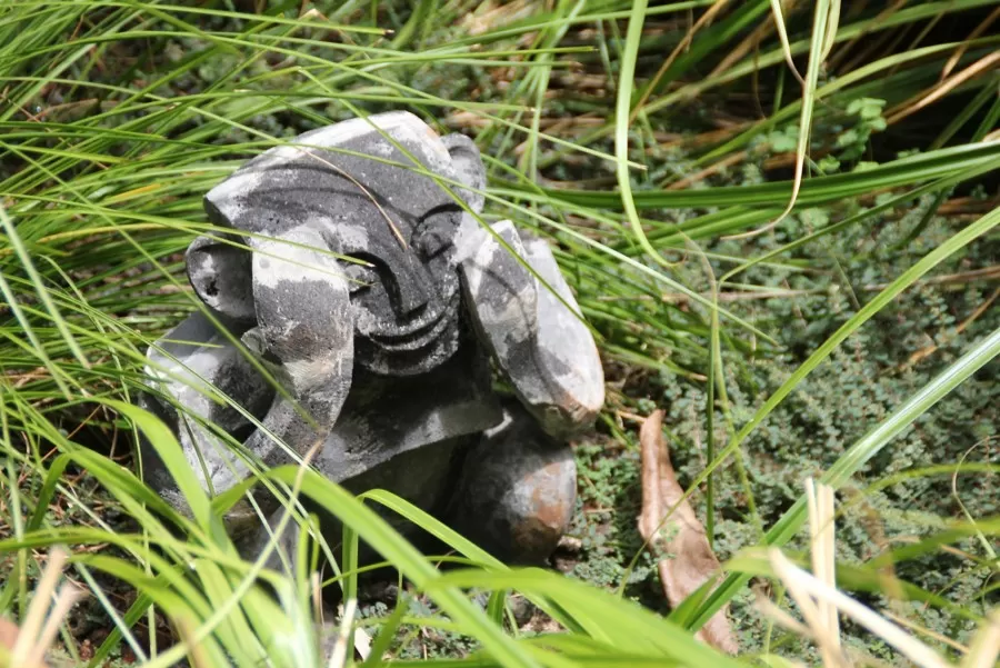 Detail