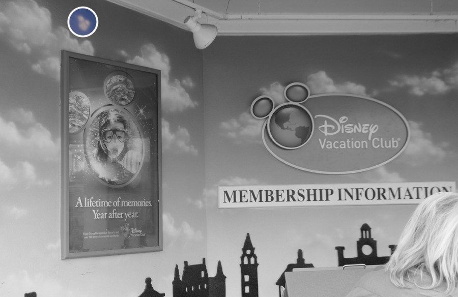 DVC Member Information Hidden Mickey Find Mickeys