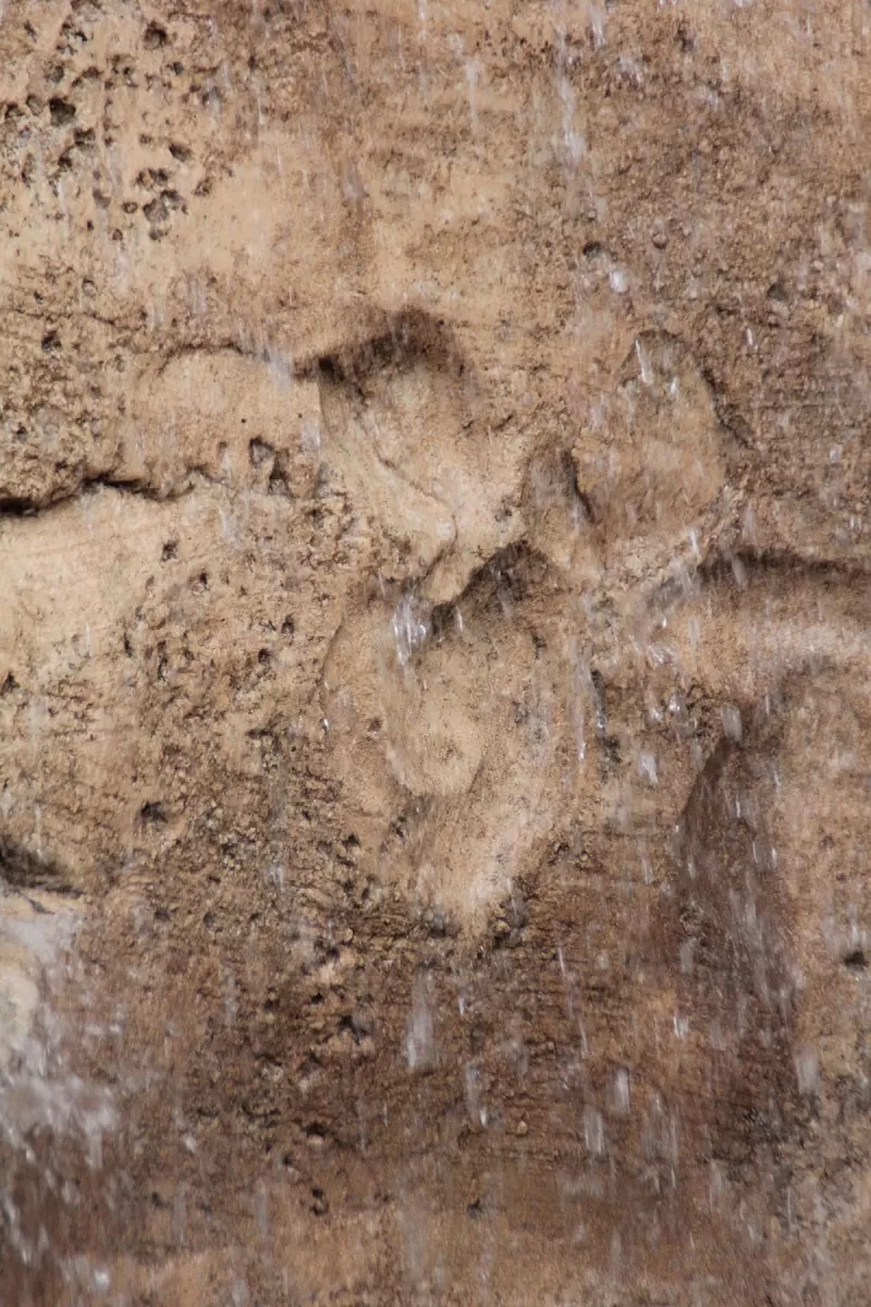 Detail
