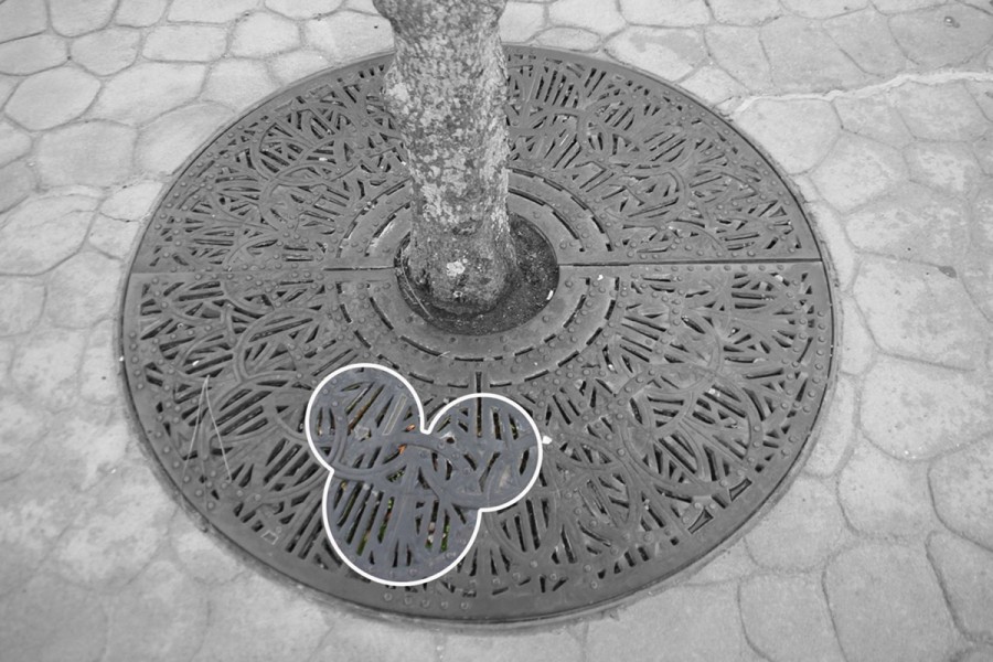 Epcot Japan Pavilion Tree Base Hidden Mickey Find Mickeys