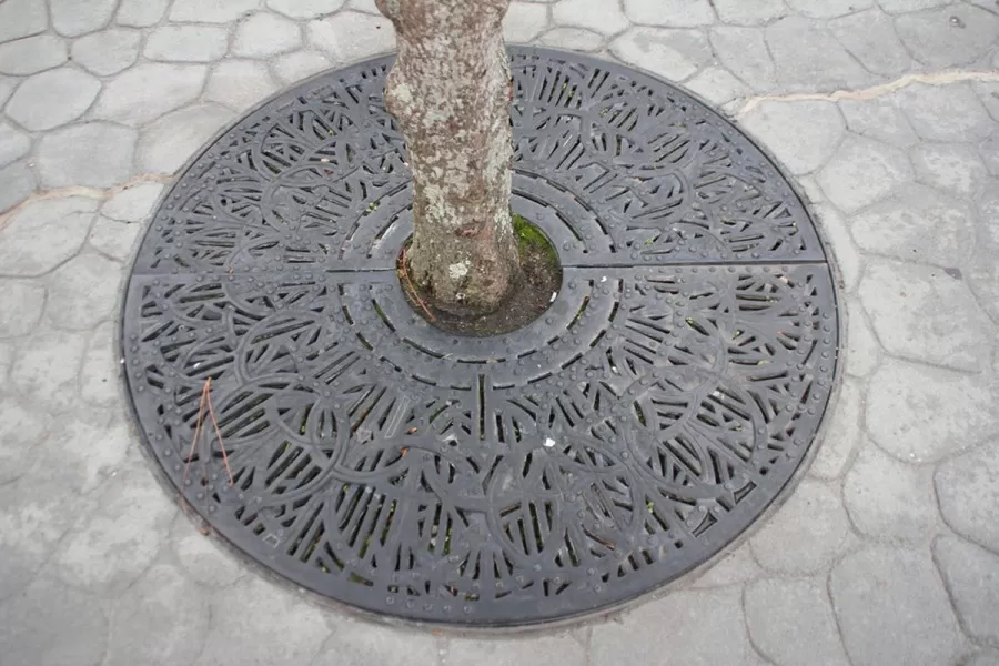 Epcot Japan Pavilion Tree Base Hidden Mickey