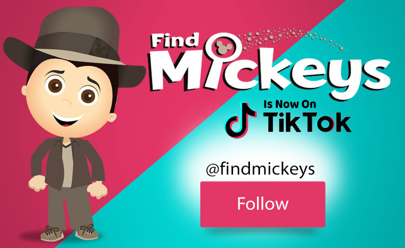 FindMickeys is now on TikTok CMS Bot