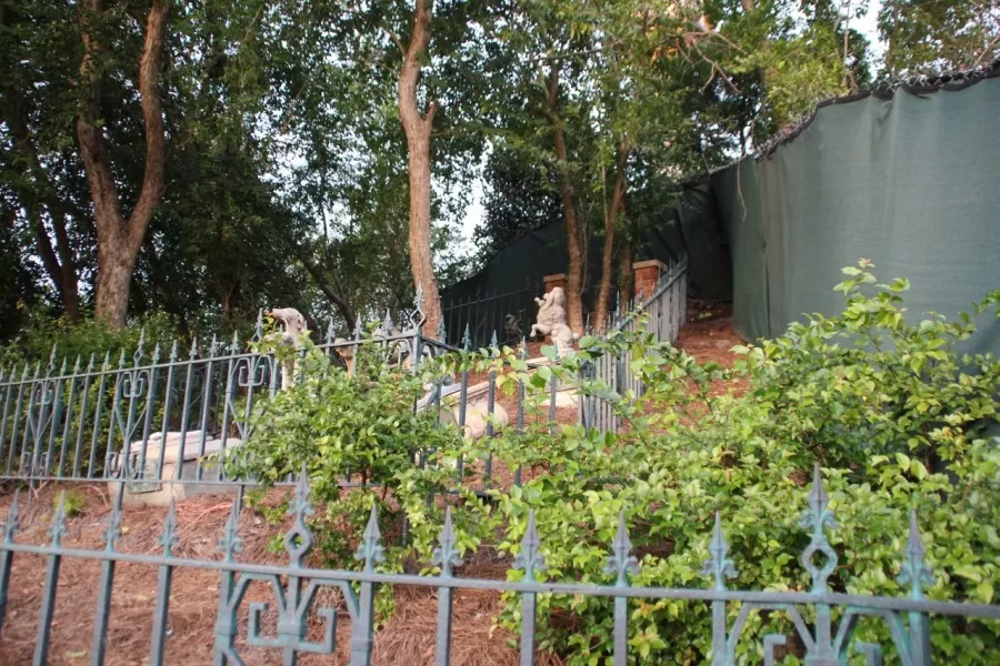 The Haunted Mansion Hidden Mr. Toad