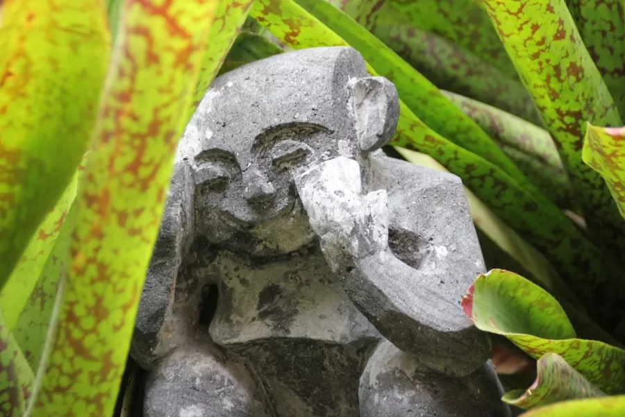 Hidden Menehune
