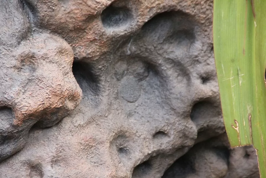 Detail