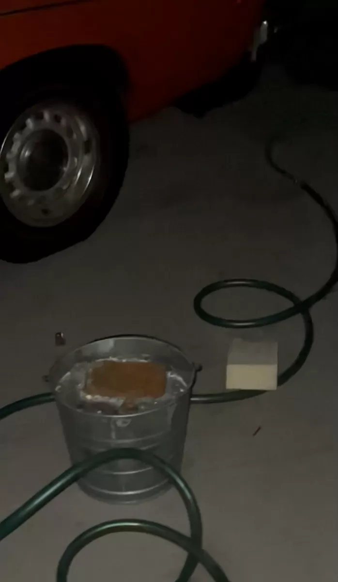 Elsa and Anna Hidden Mickey