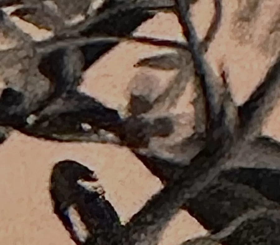 Detail