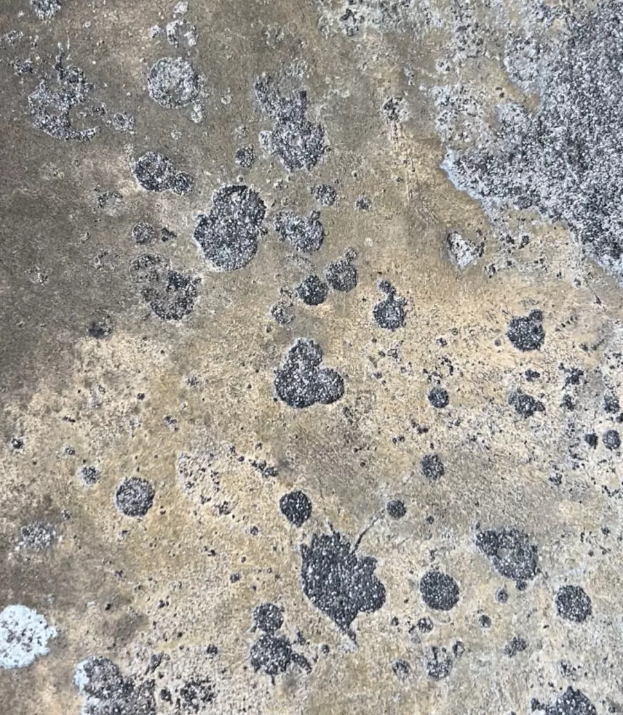 Detail