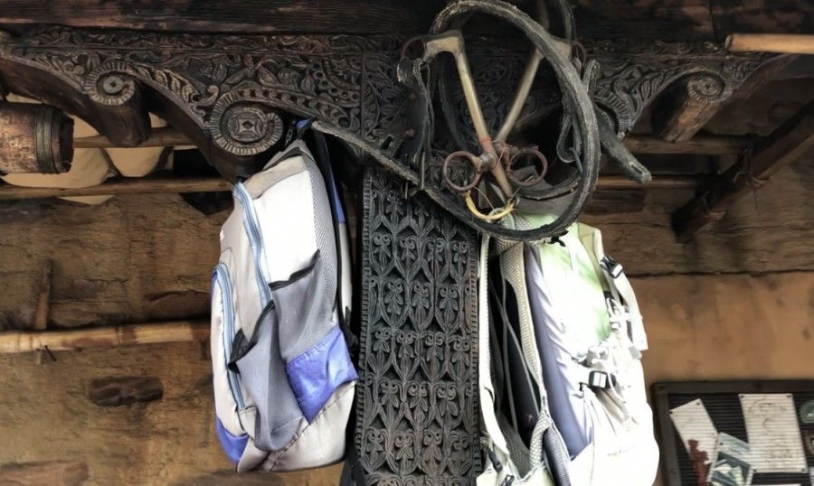 Animal Kingdom Climbing Gear Hidden Mickey