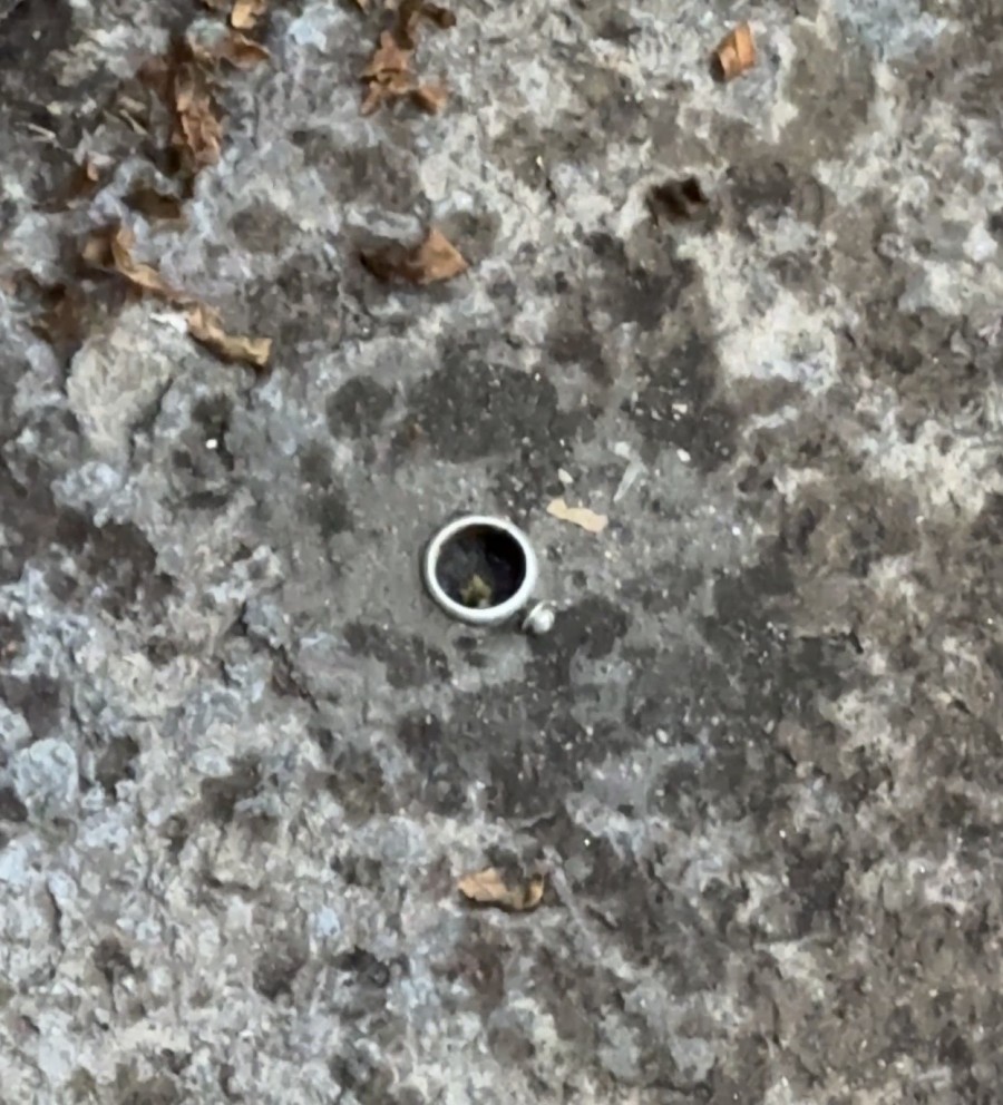 The Black Widow Bride’s Wedding Ring