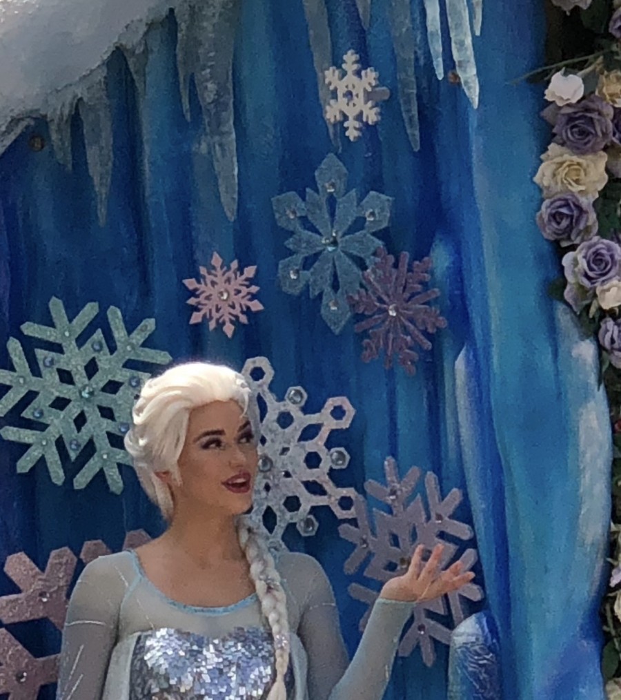 Elsa and Anna Hidden Mickey