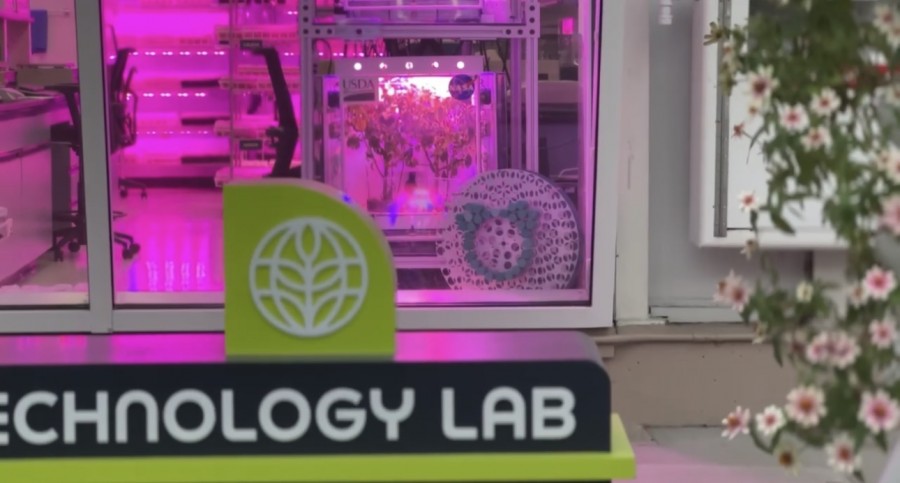 Test Tubes Hidden Mickey