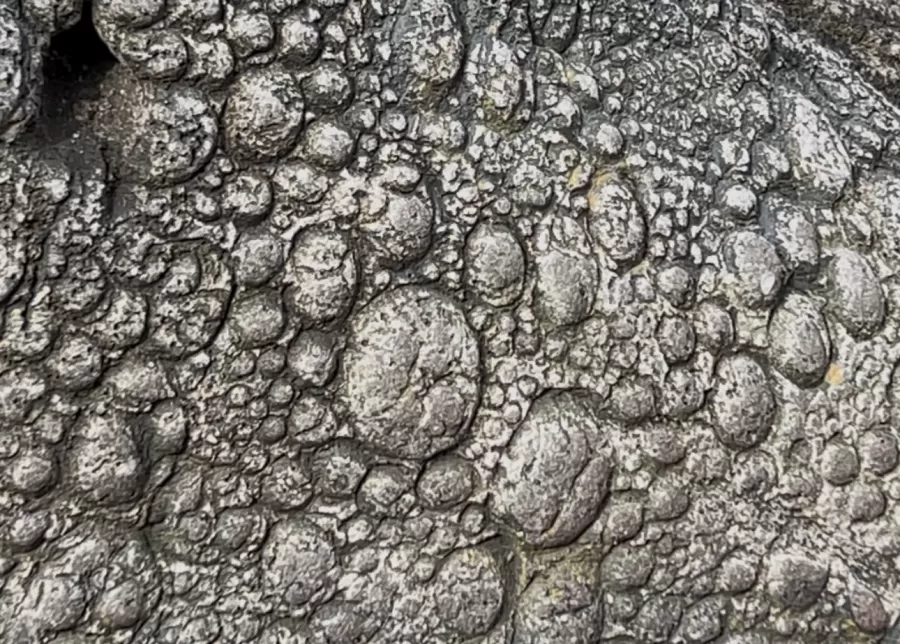 Detail