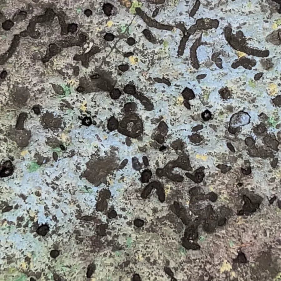 Detail