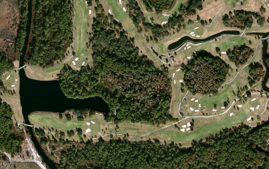 Disney's Magnolia Golf Course Hidden Mickey CMS Bot