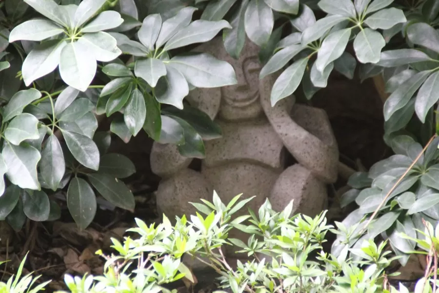 Detail