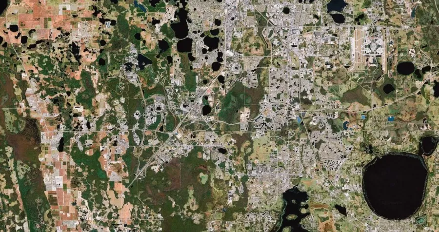 Mickey’s Forest Largest Hidden Mickey