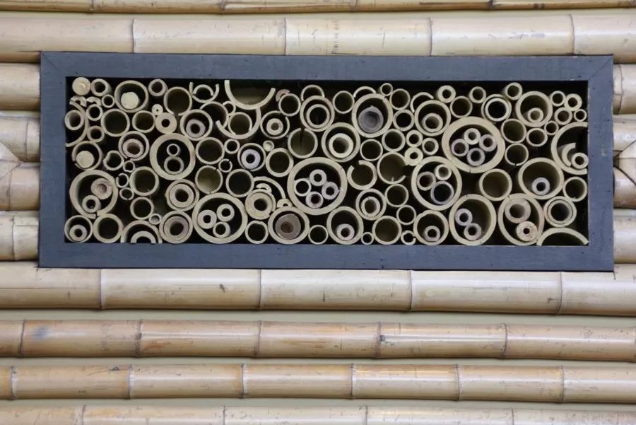 Disney's Polynesian Resort Bamboo Hidden Mickey