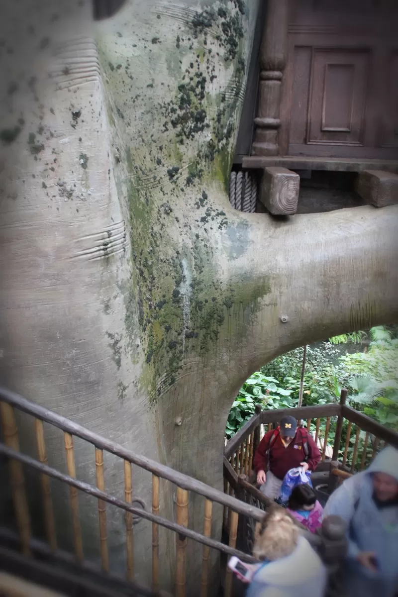 Swiss Family Treehouse Hidden Mickey