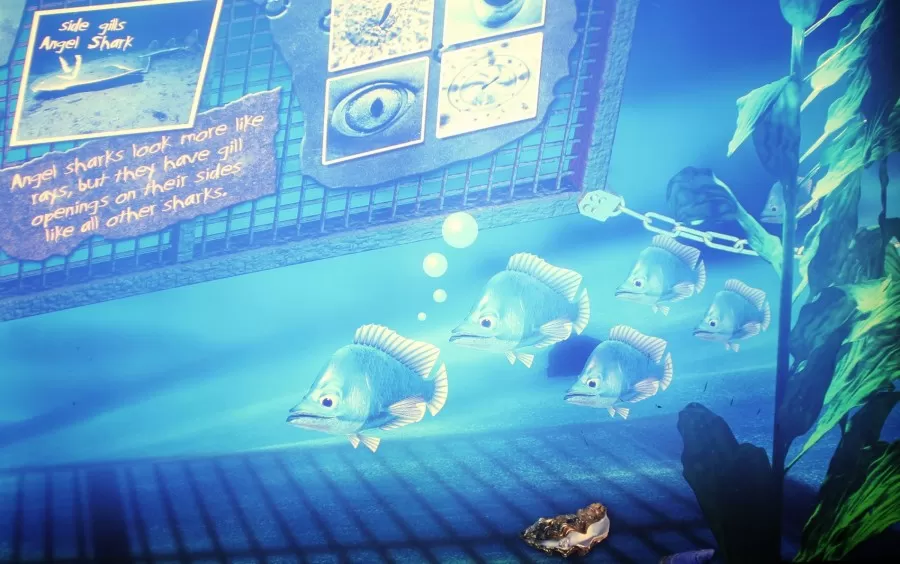 The Living Seas Aquarium Hidden Mickey