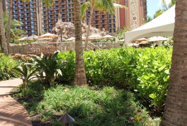 Stingray Pool Hidden Menehune Find Mickeys