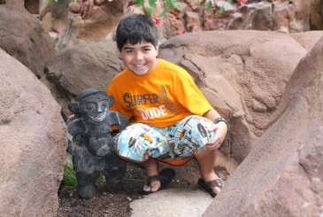 Hula Hidden Menehune Find Mickeys