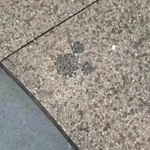 Disney Springs Hidden Mickey