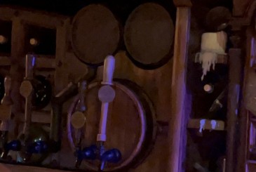 Pirates of the Caribbean's Beak and Barrel Hidden Mickey Find Mickeys