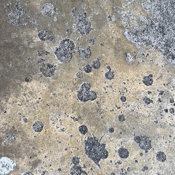 Millennium Falcon: Smugglers Run  Hidden Mickey