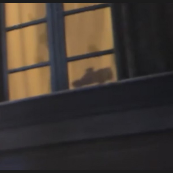 Remy's Ratatouille Adventure Pizza Planet Truck