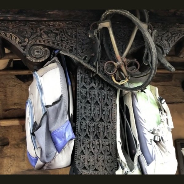 Animal Kingdom Climbing Gear Hidden Mickey