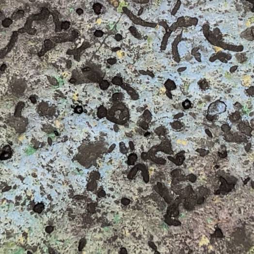 Avatar Flight of Passage Gravel Hidden Mickey