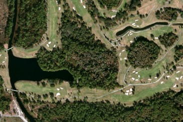 Disney's Magnolia Golf Course Hidden Mickey Find Mickeys