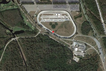 Large Hidden Mickey Find Mickeys