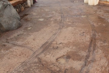 Fantasyland Horse Hoof Tracks Hidden Mickey Find Mickeys