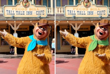 What's Different: Wendell at Frontierland  Find Mickeys