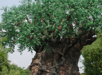 Animal Kingdom Large Hidden Mickey