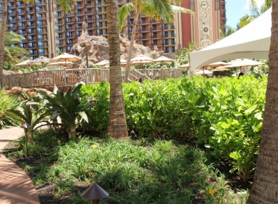 Stingray Pool Hidden Menehune