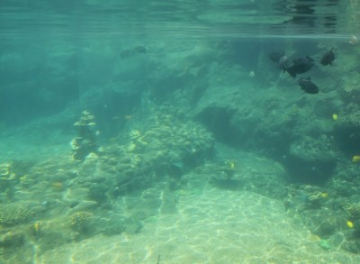 Rainbow Reef Hidden Menehunes