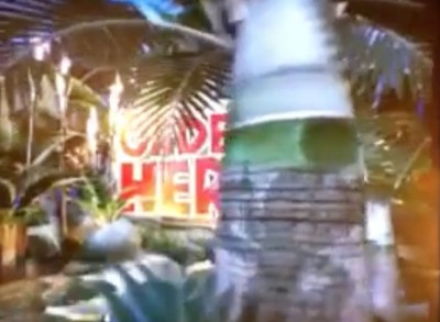 Captain Cook's at Disney's Polynesian Resort Hidden Mickey