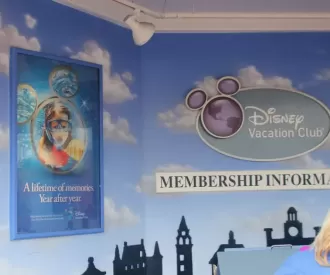 DVC Member Information Hidden Mickey