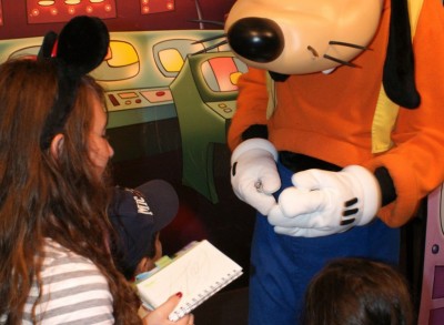 Innoventions Backdrop Hidden Mickey