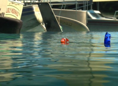 Finding Nemo Hidden Zip-a-Dee-Doo-Dah reference