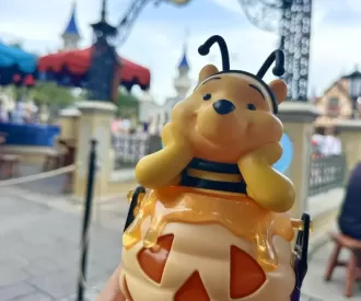 Adorable Halloween Bee Pooh Sipper