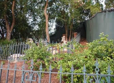 The Haunted Mansion Hidden Mr. Toad