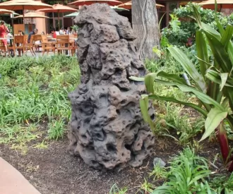 Aulani Hidden Mickey Rock