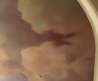 Be Our Guest Restaurant Hidden Minnie